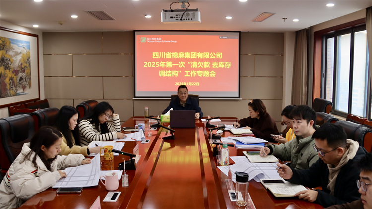 集團公司召開2025年第一次“清欠款、去庫存、調(diào)結構”工作專題會